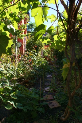 f0170524_11131172.jpg