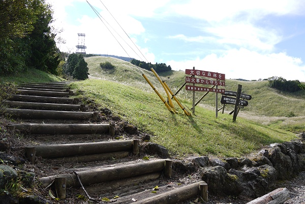 愛鷹山・越前岳　その２_c0196928_18134855.jpg