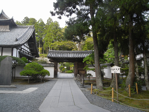 b0145843_26056.jpg