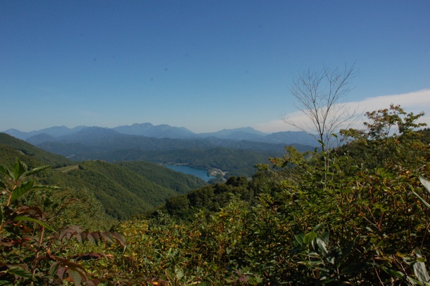 c0002943_11173736.jpg