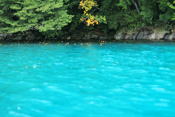 c0228945_11311744.jpg