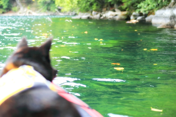 c0228945_1141271.jpg