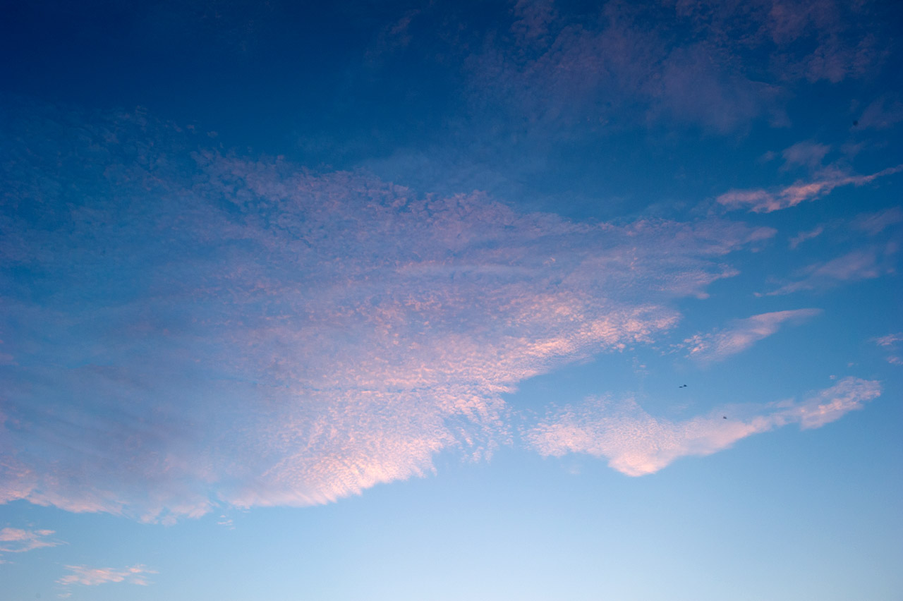 夜明け空 空 Sora そら