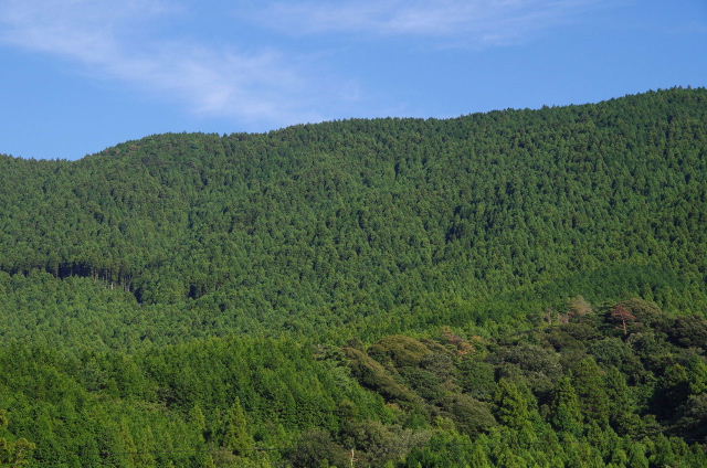 篠栗四国八十八箇所霊場　第４９番札所　【雷音寺】_c0011649_1281289.jpg