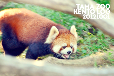 TAMA　ZOO！_c0226252_2341891.jpg