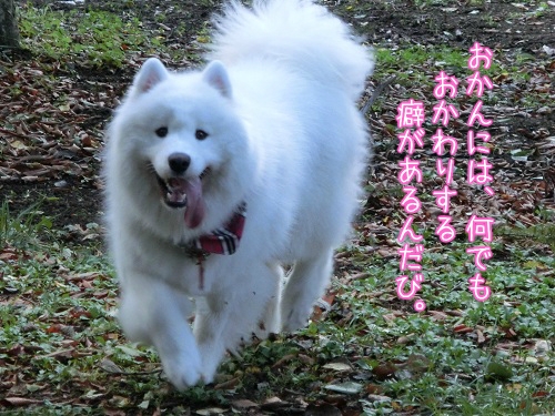 a0166954_2331131.jpg