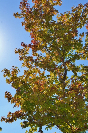 e0180555_1432499.jpg