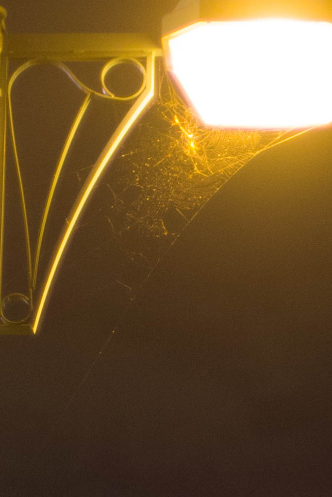 c0233556_2103161.jpg