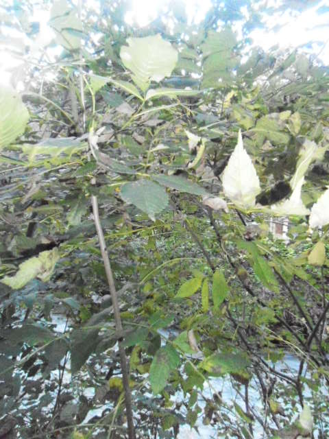 d0258462_720481.jpg