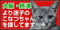 こなつちゃんを探していますっ!!_b0271465_17414329.gif