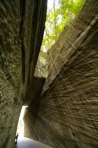 e0045768_22334534.jpg