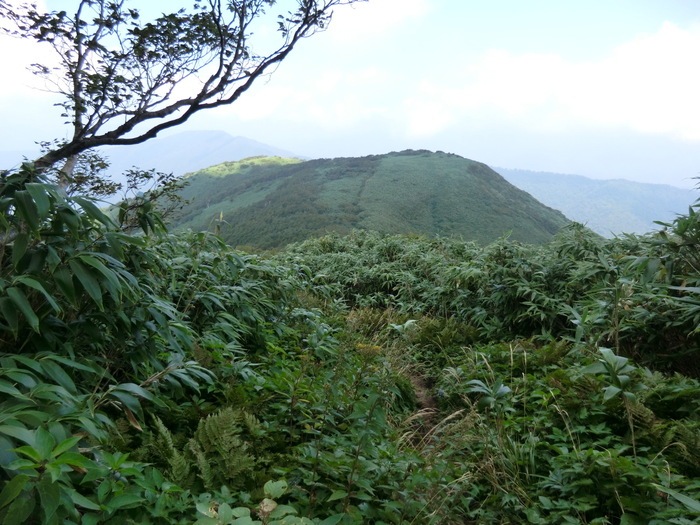b0185573_14182060.jpg