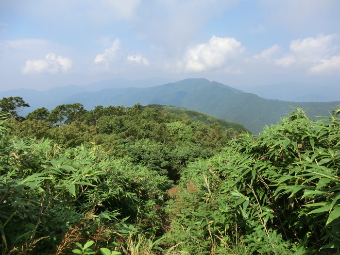 b0185573_14343361.jpg