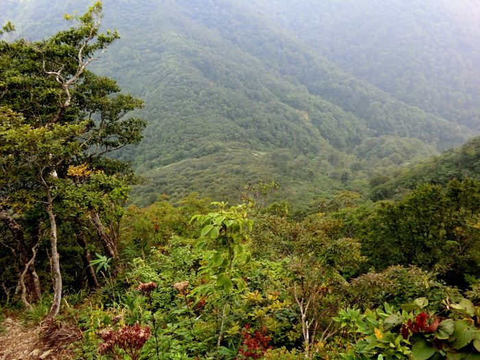 b0185573_14491178.jpg