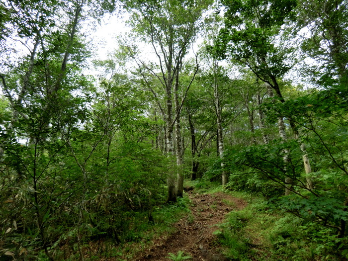 b0185573_723619.jpg