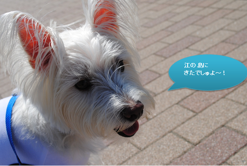 b0242873_1448360.png
