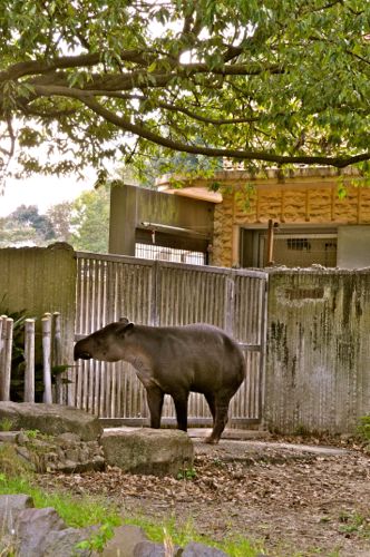 秋散歩には、金沢動物園にいこっ_f0235174_10491640.jpg