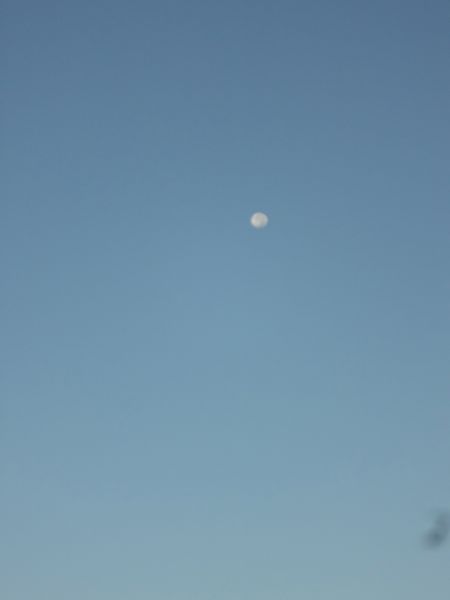 c0169176_6573852.jpg