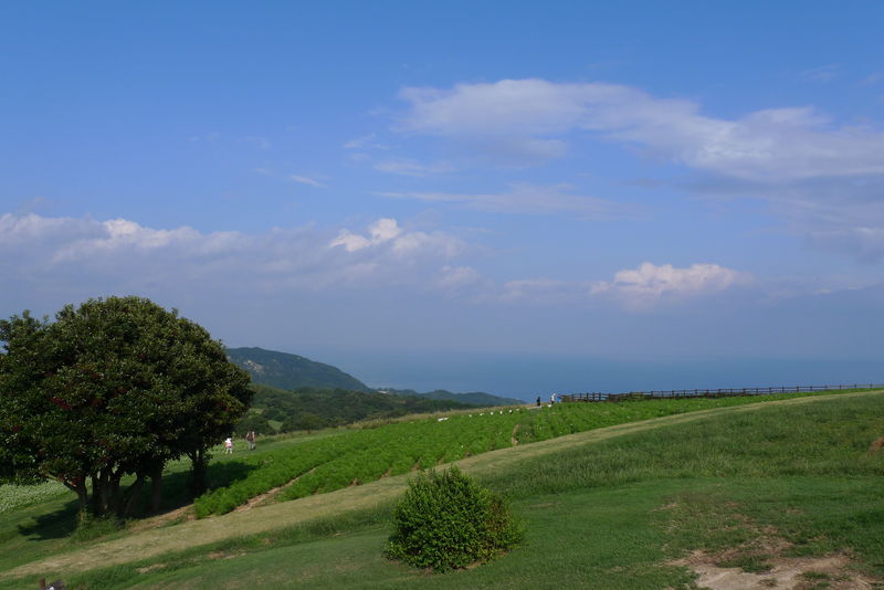 c0177576_074661.jpg