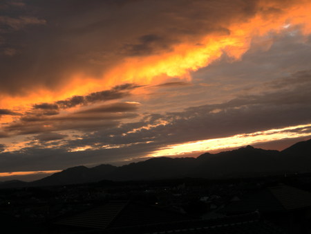 e0076879_23505575.jpg