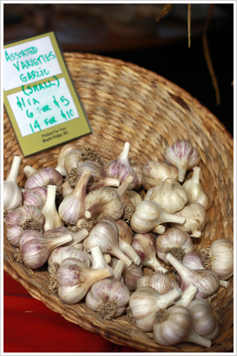 Trout Lake Farmers Market_e0205680_145296.jpg