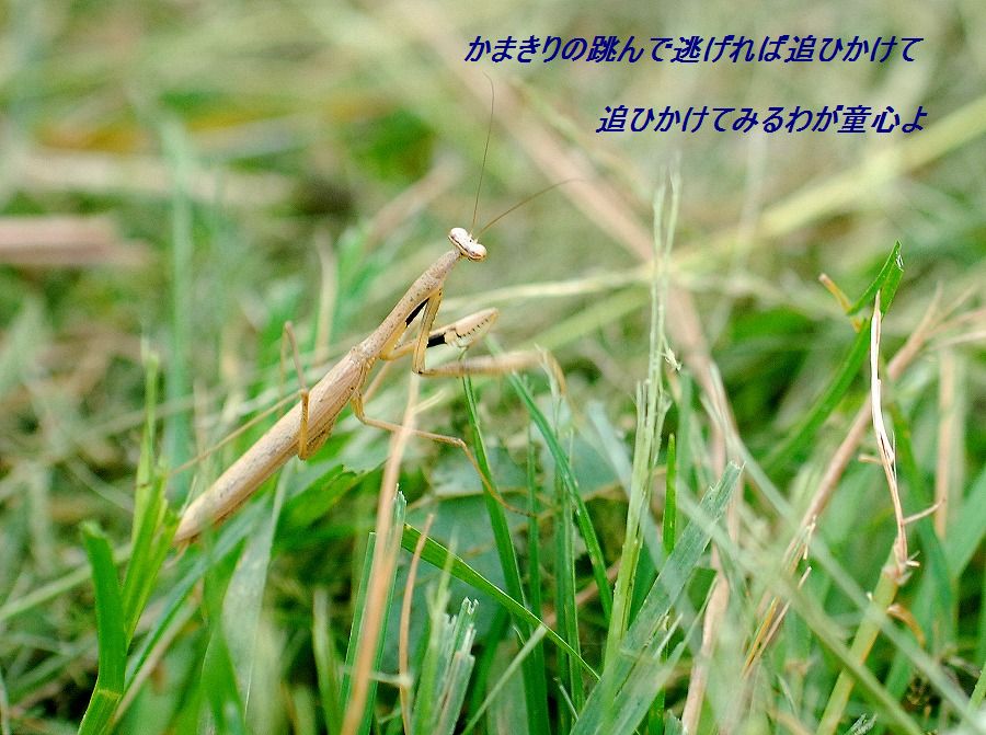 c0187781_0284826.jpg