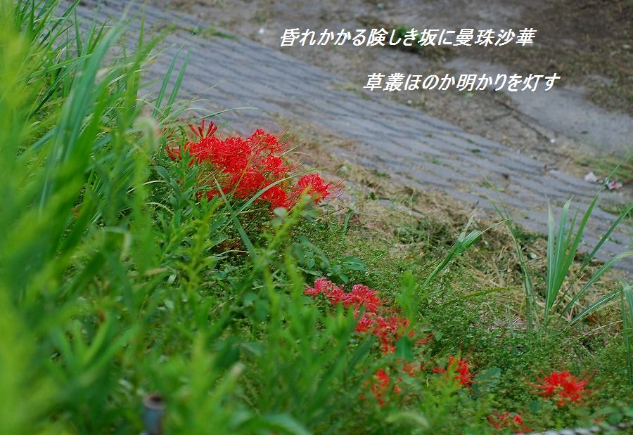 c0187781_0313820.jpg