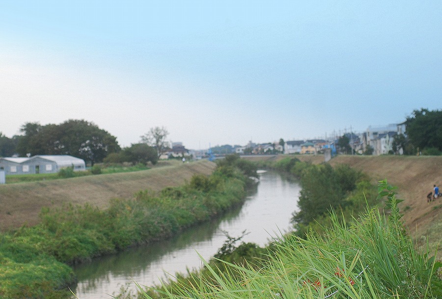 c0187781_0374067.jpg