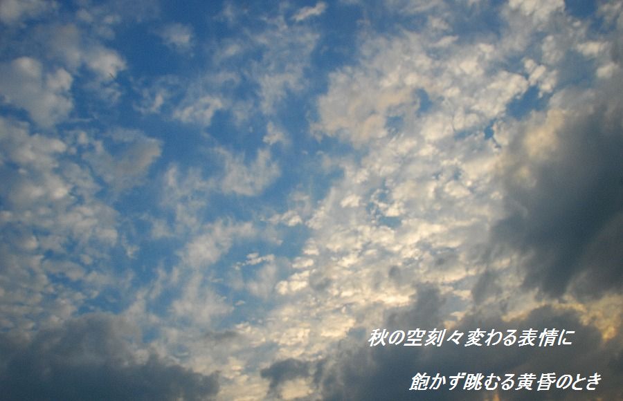 c0187781_1915791.jpg