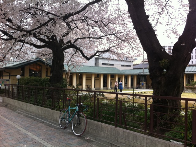 b0272087_22413867.jpeg