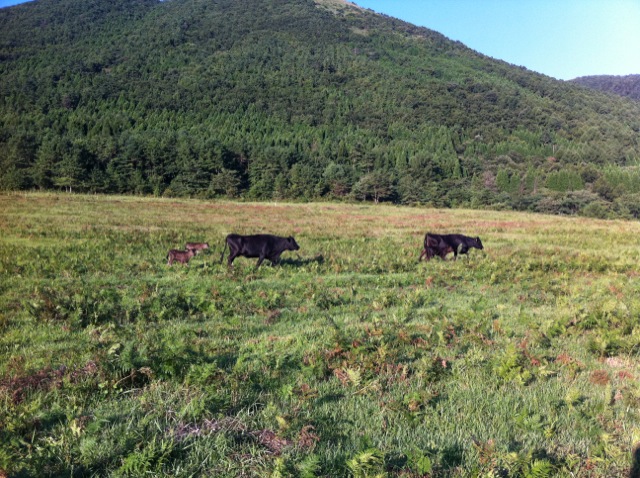 b0272087_22421042.jpeg
