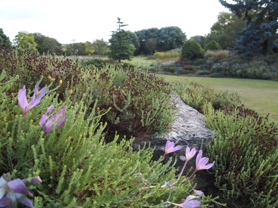 c0132488_0224967.jpg
