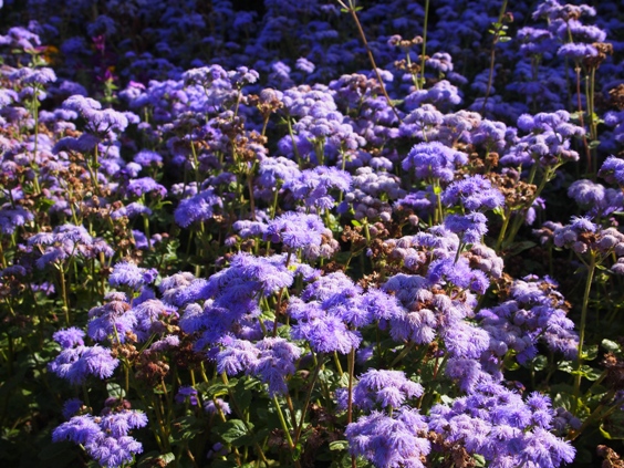 c0132488_0262522.jpg