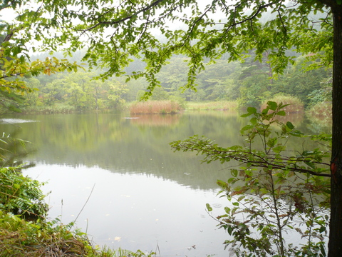 c0244490_2081943.jpg