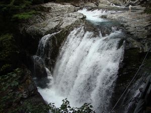 d0004195_21311389.jpg