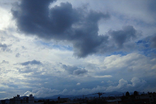 f0200795_21195521.jpg