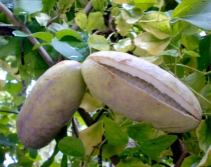 c0151898_13343843.jpg