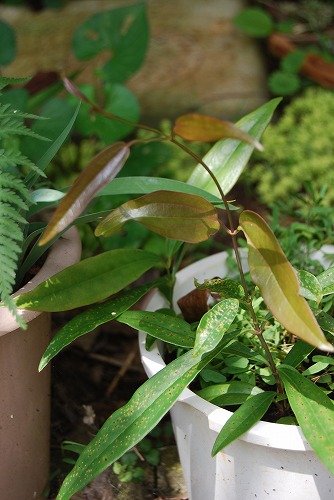c0124100_23581067.jpg
