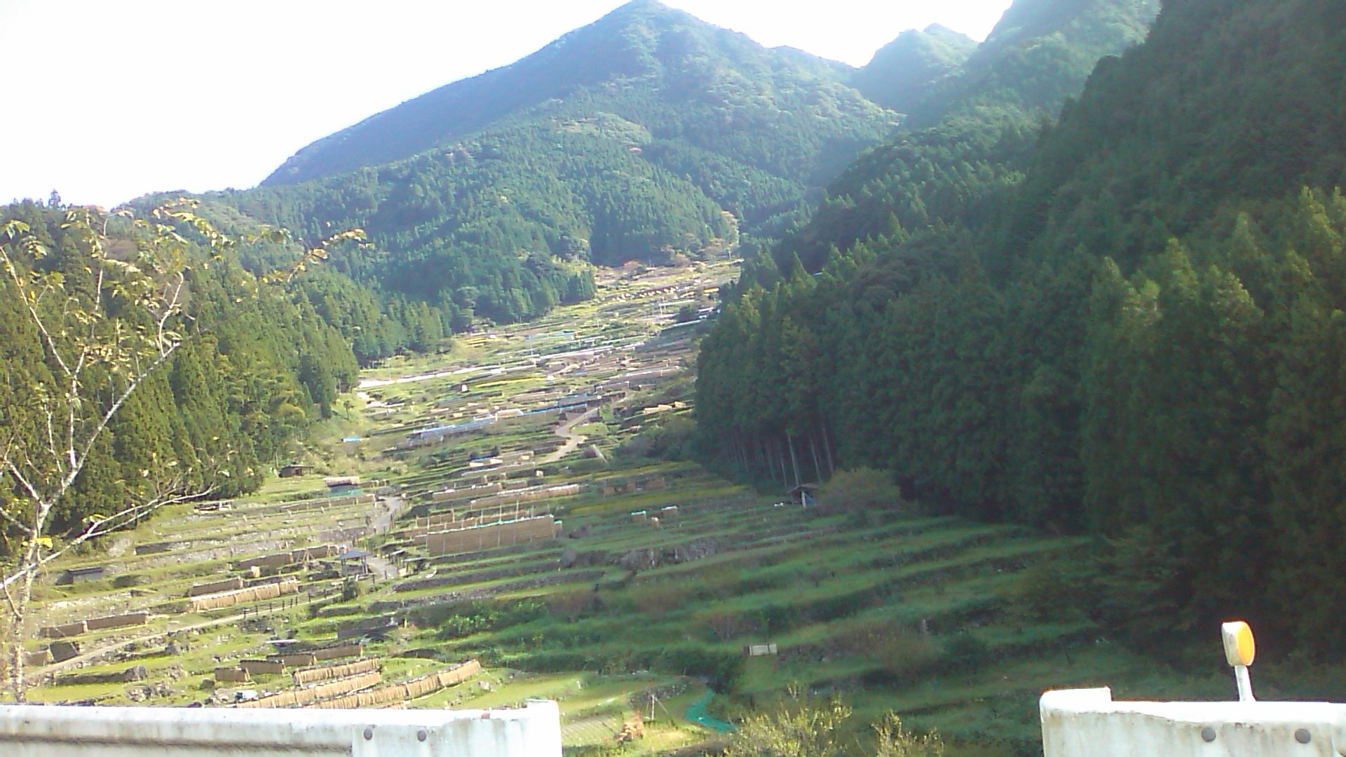 c0183801_1647292.jpg