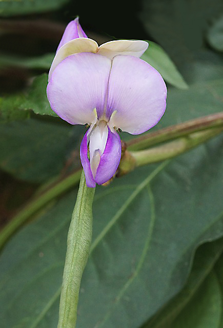 e0039703_223591.jpg