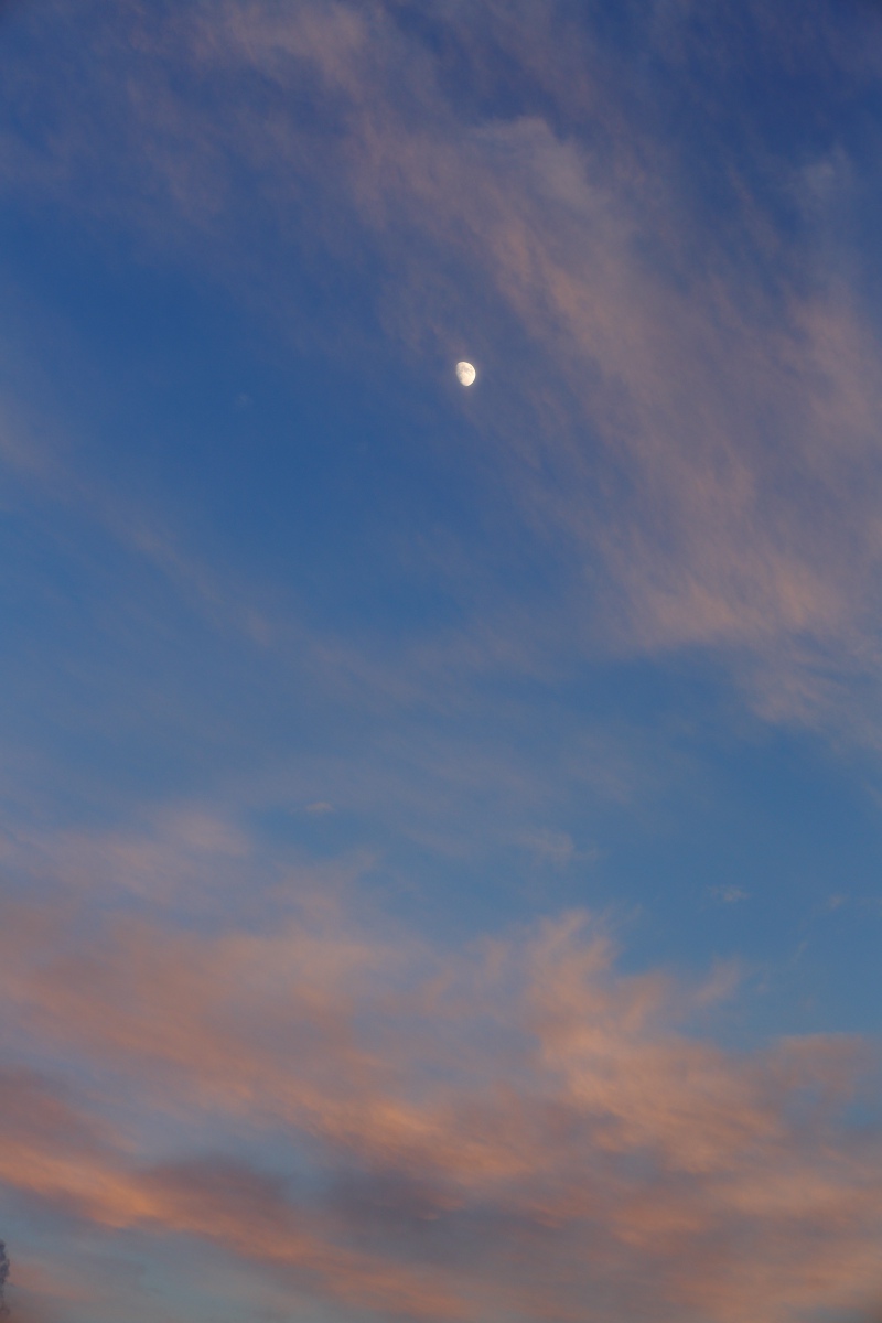 a0155104_2271768.jpg
