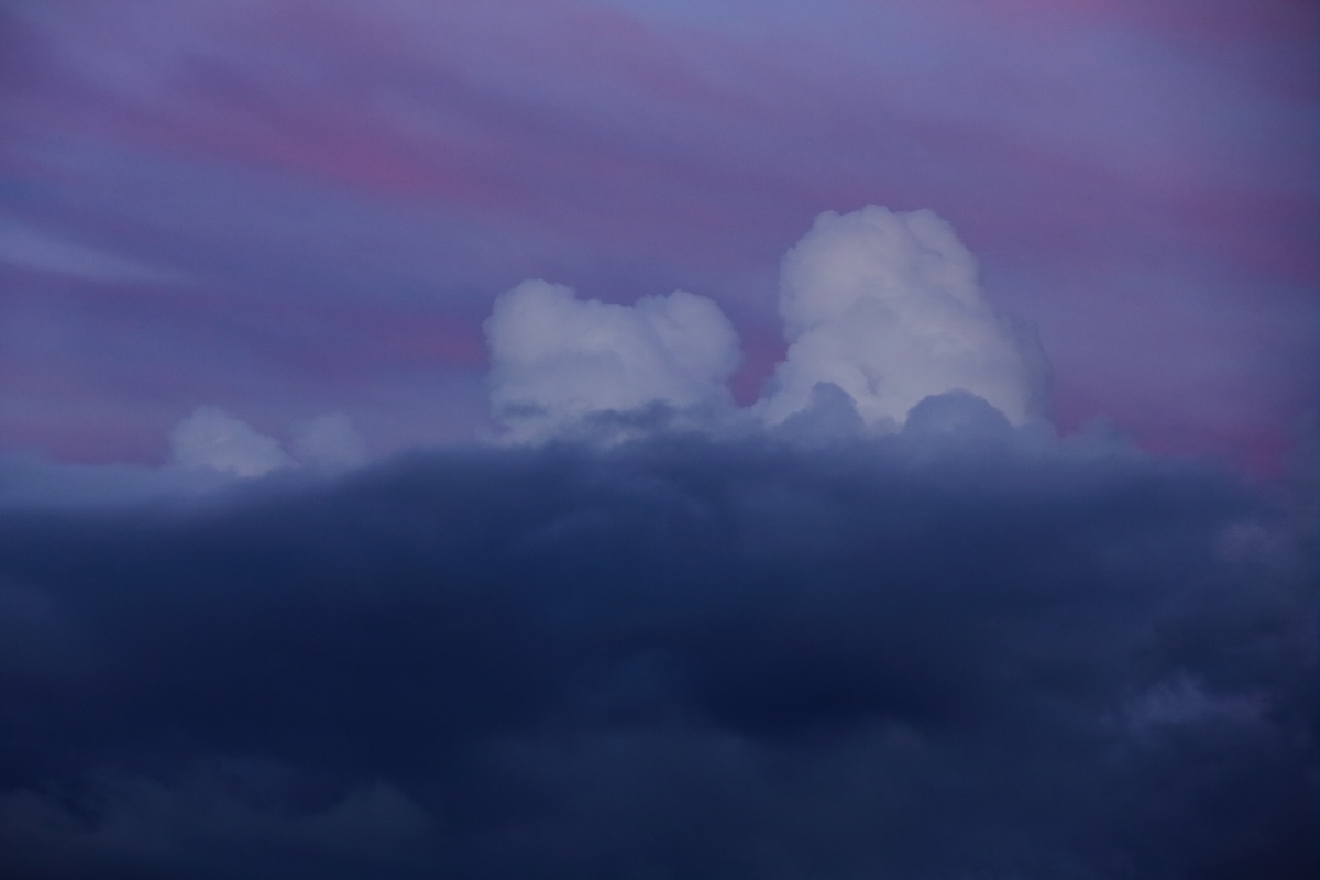 a0155104_227693.jpg