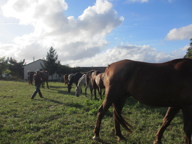 Saint-Jean-de-Blaignac のクラッシックな宿(9/24)_c0212604_2323958.jpg