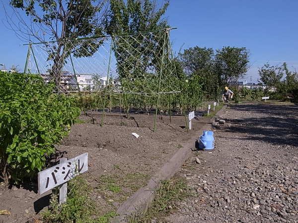 c0093205_1457949.jpg