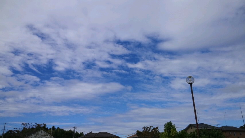 f0155808_1442137.jpg