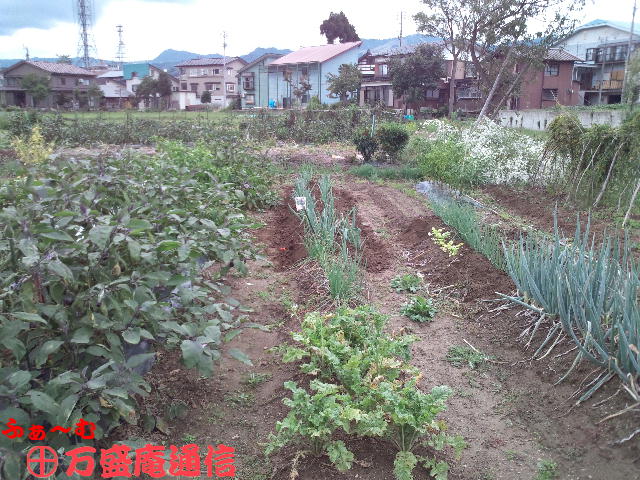 b0172209_9122164.jpg