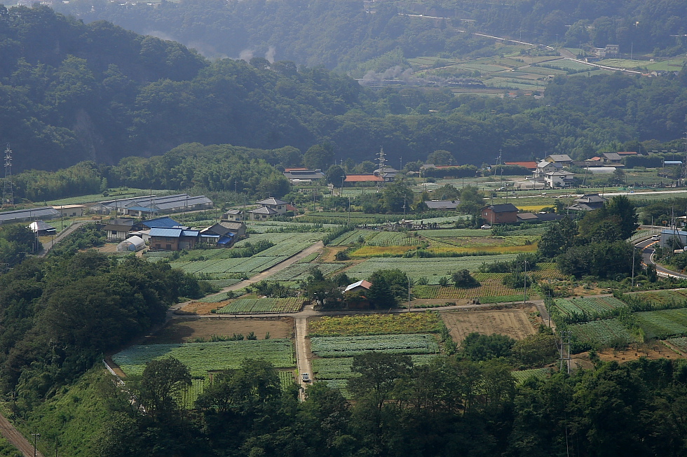 線路は右へ左へ - 2012年初秋・上越線 - _b0190710_2183864.jpg
