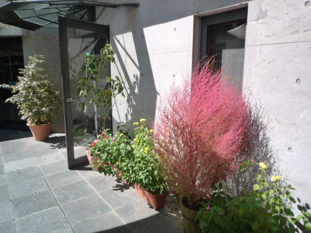 b0259210_1353577.jpg