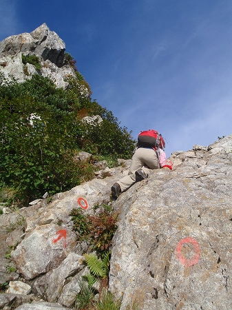 d0264710_1032499.jpg