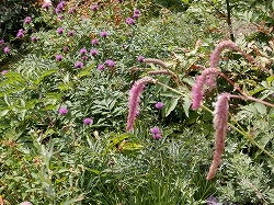 d0264710_1054580.jpg